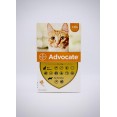 Advocate®For small cats 4kg or less Advocate®For small cats 4kg or less