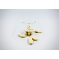 Levetiracetam 250mg, 500mg Tablet Levetiracetam 250mg, 500mg Tablet