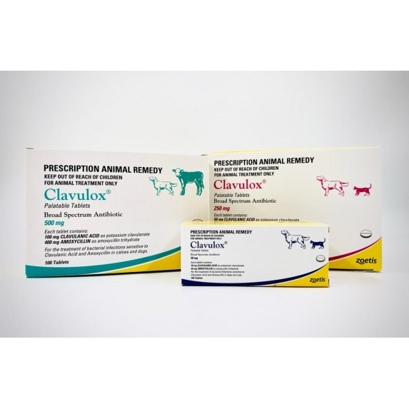 Clavulanic Acid & Amoxycillin ( Clavulox® ) 50mg, 250mg, 500mg Tablet Clavulanic Acid & Amoxycillin ( Clavulox® ) 50mg, 250mg, 500mg Tablet