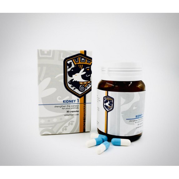 Jack's Veterinary KIDNEY 1 Jack's Veterinary KIDNEY 1